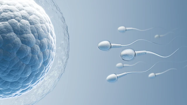 bai-viet/sau-quan-he-bao-lau-thi-tinh-trung-vao-tu-cung-giai-dap-chi-tiet-cho-chi-em.html