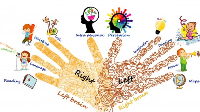 bai-viet/sinh-trac-van-tay-va-tiem-nang-cua-con-nguoi-63442.html