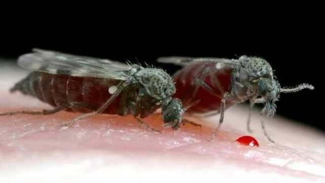 bai-viet/bu-mat-la-con-gi-khi-bi-bu-mat-can-phai-lam-sao.html