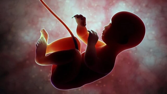 bai-viet/chan-doan-thai-luu-nhu-the-nao-cho-chinh-xac.html