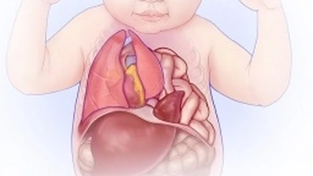 bai-viet/thoat-vi-hoanh-bam-sinh-nguyen-nhan-trieu-chung-va-dieu-tri.html