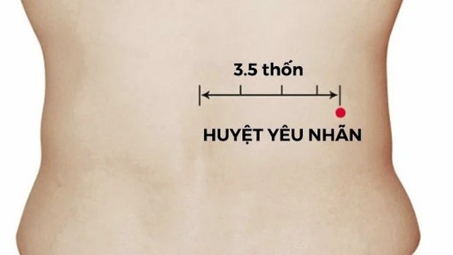 bai-viet/huyet-yeu-nhan-la-gi-vi-tri-va-tac-dung-cua-huyet-dao.html