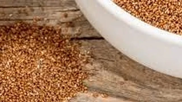 bai-viet/loi-ich-dinh-duong-tu-bot-teff-ban-nen-biet.html