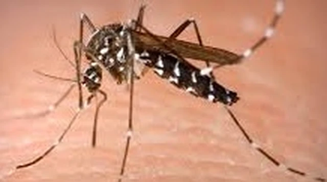 bai-viet/tim-hieu-dac-diem-cua-cac-loai-muoi-o-viet-nam.html