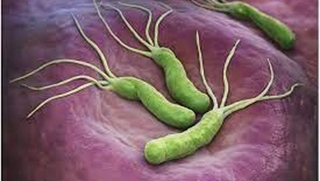 bai-viet/bat-mi-cach-tieu-diet-vi-khuan-hp-tan-goc-an-toan-hieu-qua.html