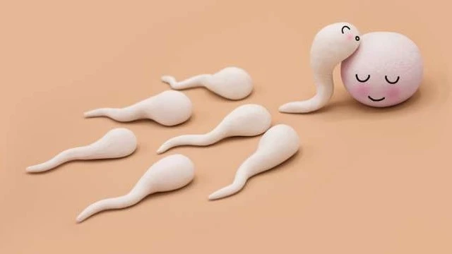 bai-viet/tinh-trung-gap-trung-nhu-the-nao-nhung-dau-hieu-cho-thay-tinh-trung-gap-trung-thanh-cong.html