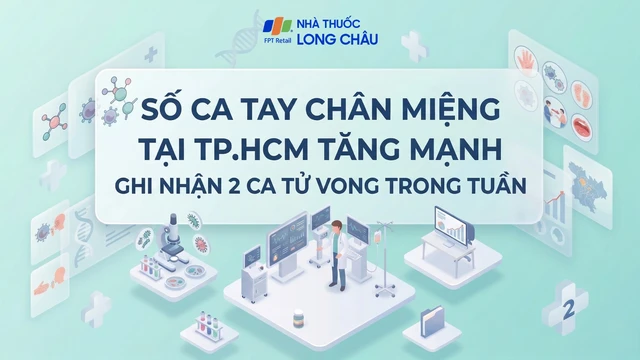 bai-viet/so-ca-tay-chan-mieng-tai-tp-hcm-tang-manh-ghi-nhan-2-ca-tu-vong-trong-tuan-10009.html