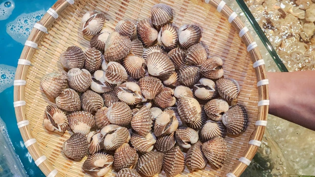 bai-viet/so-long-va-so-huyet-phan-biet-gia-tri-dinh-duong-va-luu-y-khi-an.html