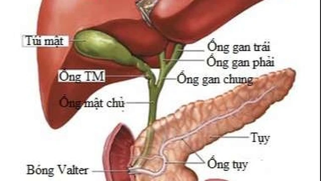 bai-viet/soi-mat-co-o-may-vi-tri-nguyen-nhan-trieu-chung-cach-dieu-tri-53615.html