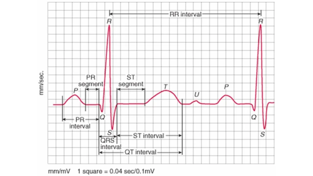 bai-viet/song-p-la-gi-cac-dang-song-p-trong-dien-tam-do.html