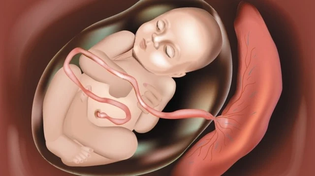 bai-viet/sot-nhau-sau-sinh-nguyen-nhan-trieu-chung-dieu-tri-va-cach-phong-ngua.html