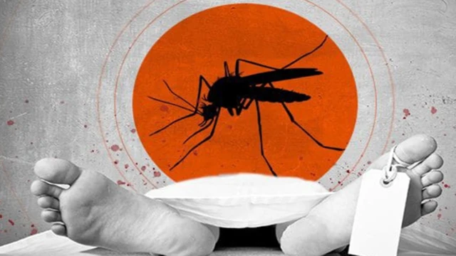 bai-viet/sot-xuat-huyet-gay-tu-vong-the-nao.html