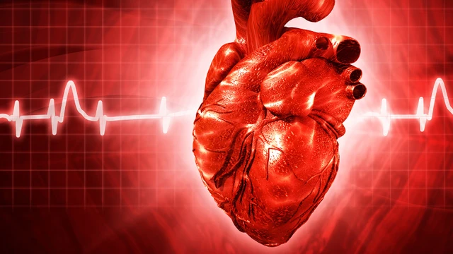 bai-viet/su-khac-biet-giua-cuong-nhi-va-rung-nhi-khong-phai-ai-cung-biet.html