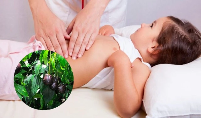 bai-viet/su-nguy-hiem-ngo-doc-qua-hong-chau-gay-chet-nguoi-56805.html