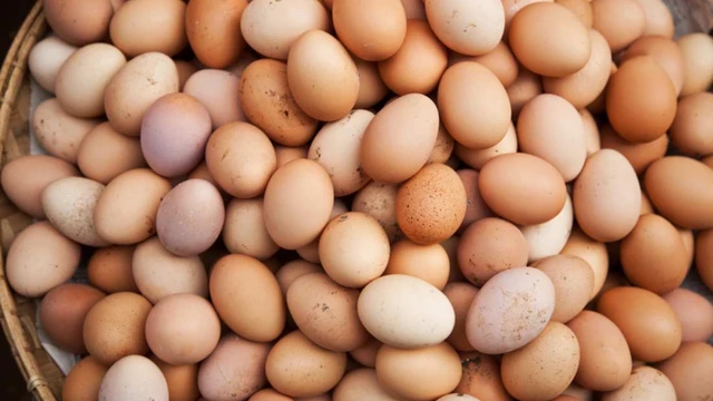 bai-viet/su-that-ve-omega-3-trong-trung-ga-ban-nen-biet.html