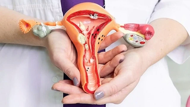 bai-viet/su-that-ve-viem-bo-phan-sinh-duc-nu-va-cach-phong-tranh-hieu-qua.html