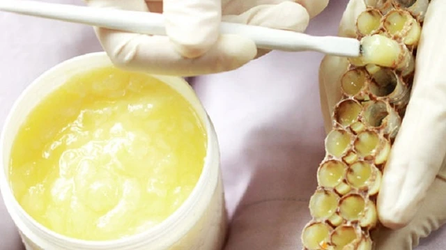 bai-viet/sua-ong-chua-la-gi-loi-ich-cung-nhu-cac-tac-dung-phu-ma-no-dem-lai-72350.html