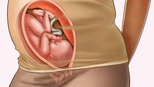 bai-viet/giai-doan-tam-ca-nguyet-thu-3-va-nhung-dieu-me-bau-nen-biet-67504.html