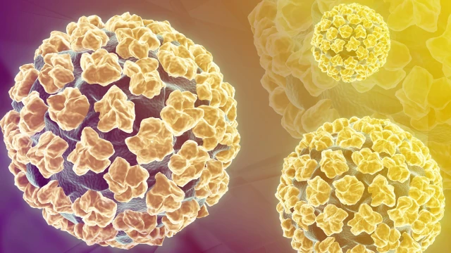 bai-viet/sui-mao-ga-co-gay-ung-thu-khong.html