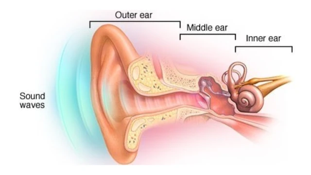 benh/suy-giam-thinh-luc.html