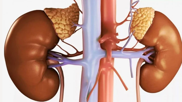 bai-viet/suy-tuyen-thuong-than-song-duoc-bao-lau-phong-benh-bang-cach-nao.html