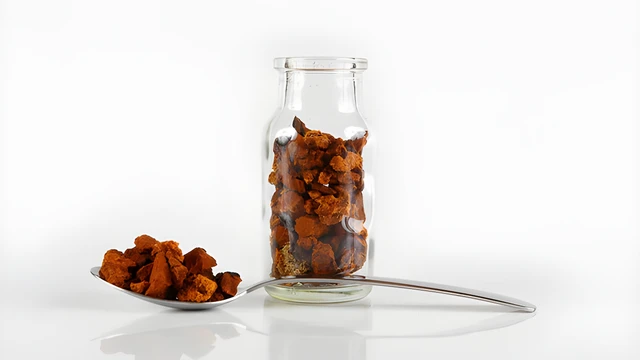 bai-viet/tac-dung-cua-nam-chaga-ngam-ruou-doi-voi-suc-khoe-ma-khong-phai-ai-cung-biet.html