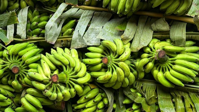 bai-viet/tac-hai-cua-chuoi-xanh-la-gi-ai-khong-nen-an-de-tranh-anh-huong-suc-khoe.html