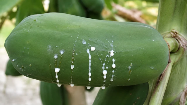 bai-viet/tac-hai-cua-nhua-du-du-va-luu-y-can-biet.html