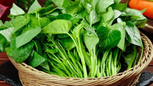 bai-viet/mot-so-tac-hai-cua-rau-lang-va-cach-an-rau-lang-de-dam-bao-suc-khoe.html