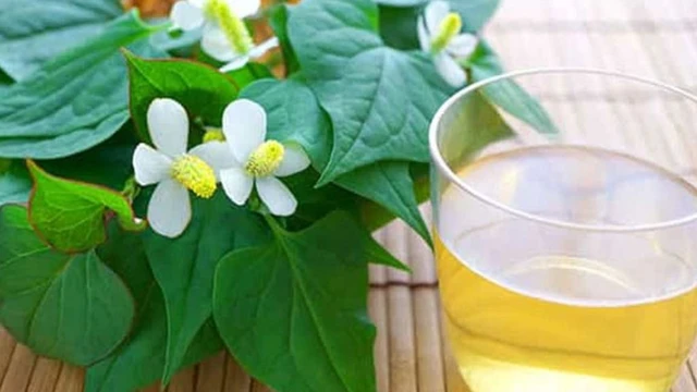 bai-viet/tai-sao-nhieu-nguoi-thich-uong-tra-diep-ca-1.html