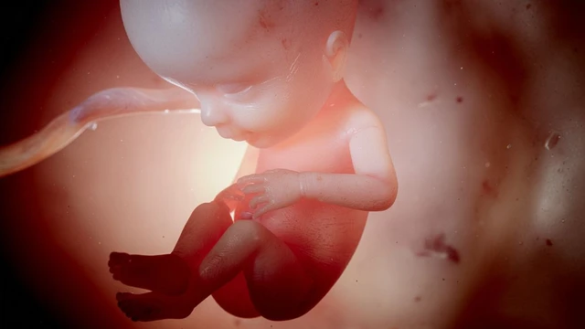 bai-viet/tai-sao-thai-nhi-bi-than-u-nuoc-nguyen-nhan-chan-doan-va-cham-soc.html