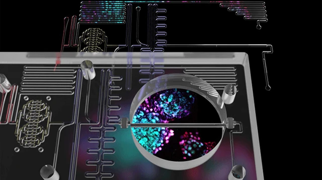 bai-viet/tai-tao-cau-truc-tuyen-tuy-tren-vi-mach-phat-minh-moi-cho-benh-tieu-duong.html