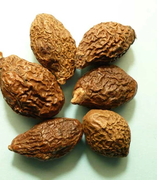 bai-viet/tam-biet-soi-nho-hat-duoi-uoi-16489.html