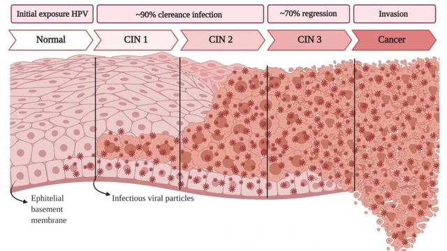 bai-viet/tan-sinh-la-gi-tim-hieu-ve-benh-ly-tan-sinh-bieu-mo-co-tu-cung.html