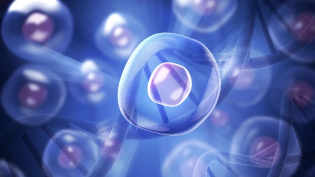 bai-viet/ban-da-biet-gi-ve-te-bao-goc-da-nang-gioi-han.html