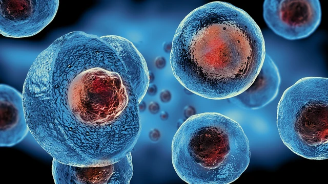 bai-viet/te-bao-goc-stem-cell-la-gi-ung-dung-cua-te-bao-goc-trong-doi-song.html
