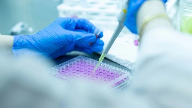 bai-viet/te-bao-goc-toan-nang-dac-diem-va-tiem-nang-ung-dung-trong-y-hoc.html