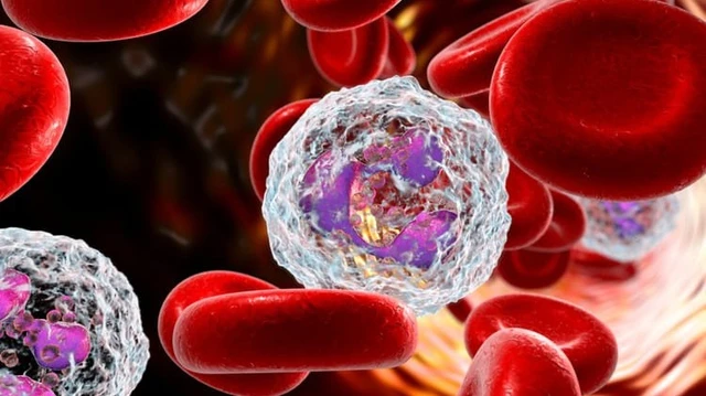 bai-viet/te-bao-lympho-va-nhung-dieu-can-biet.html