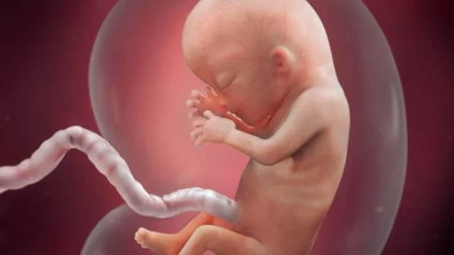 bai-viet/thai-12-tuan-nhip-tim-160-la-trai-hay-gai-nhung-yeu-to-anh-huong-den-gioi-tinh-cua-thai-nhi.html