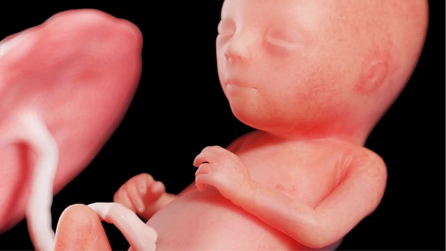 Thai 15 tuần đã an toàn chưa? Dấu hiệu thai đang phát triển tốt