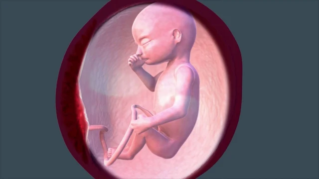 bai-viet/thai-16-tuan-phat-trien-nhu-the-nao-va-nhung-luu-y-cho-me-bau.html