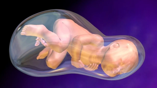 bai-viet/thai-luu-6-tuan-nguyen-nhan-dau-hieu-va-cach-phong-ngua.html