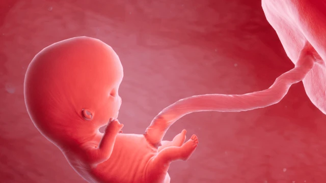 bai-viet/thai-nhi-9-tuan-tuoi-cot-moc-phat-trien-quan-trong-doi-voi-be.html