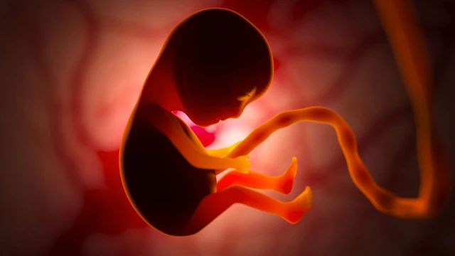 bai-viet/dac-diem-thai-nhi-moc-choi-mat-tren-hinh-anh-sieu-am.html