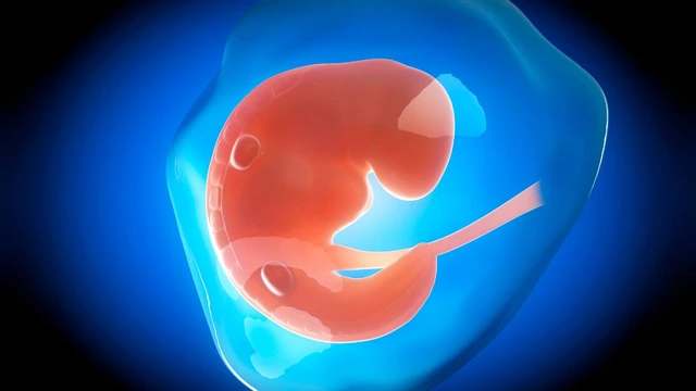 bai-viet/thai-cham-phat-trien-o-nhung-tuan-dau-co-sao-khong.html