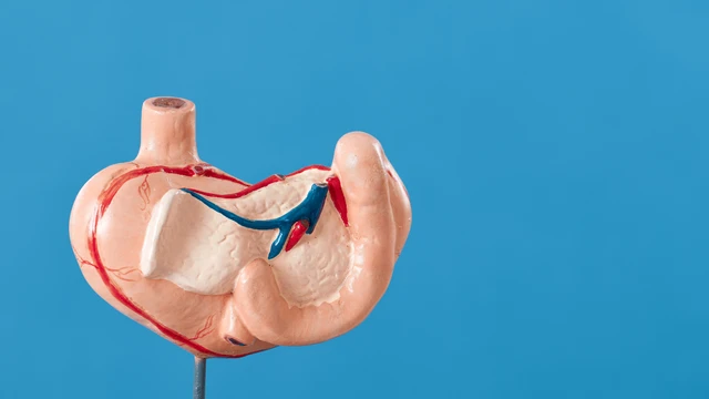 bai-viet/than-duoc-tang-cuong-nho-nhung-thuc-pham-co-vi-dang-nay.html