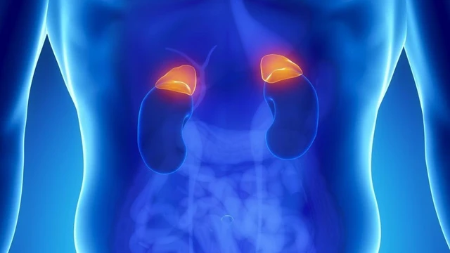 bai-viet/pheochromocytoma-la-benh-gi-trieu-chung-va-phuong-phap-dieu-tri-hieu-qua.html