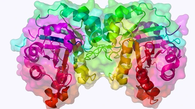 bai-viet/thieu-enzyme-tieu-hoa-o-tre-nguyen-nhan-hau-qua-va-dieu-tri.html