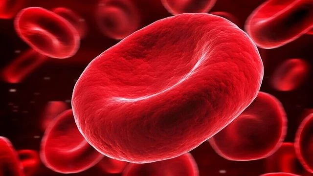 bai-viet/thieu-mau-diamond-blackfan-la-gi-nhung-thong-tin-can-biet.html