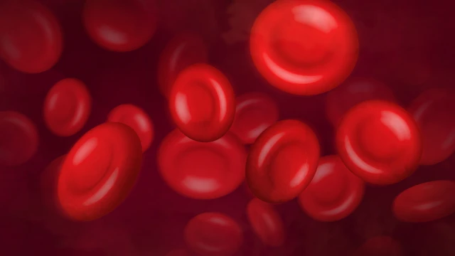 benh/thieu-mau-do-thieu-folate-455.html